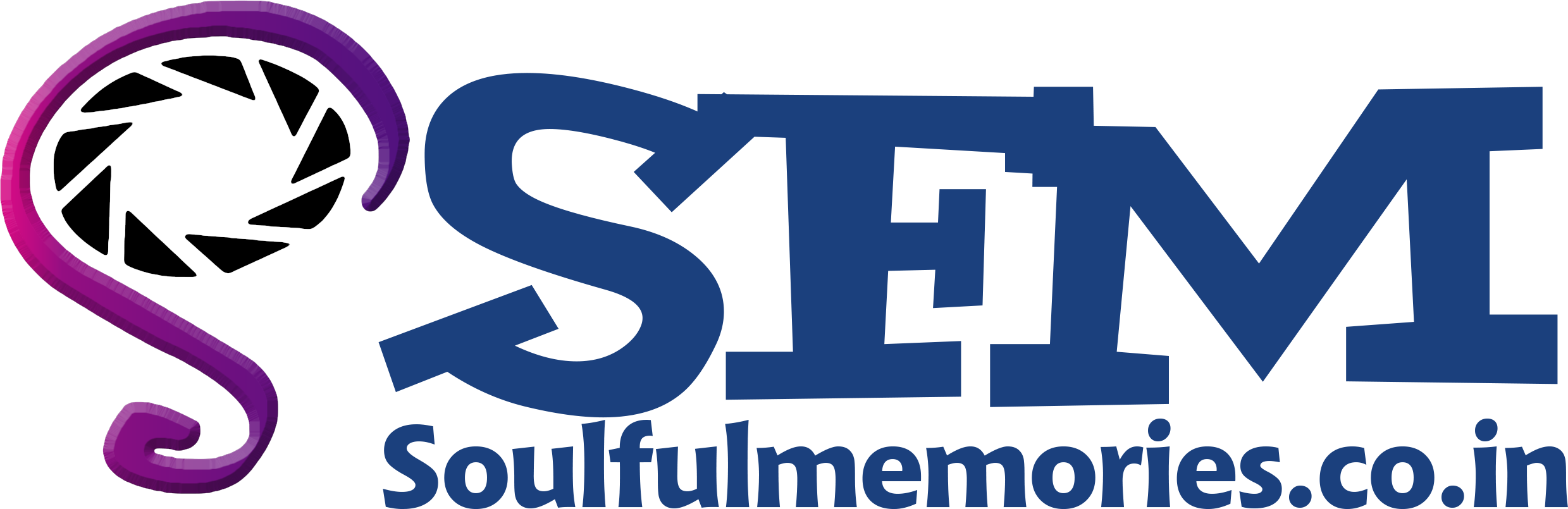 soulfulmemories.co.in